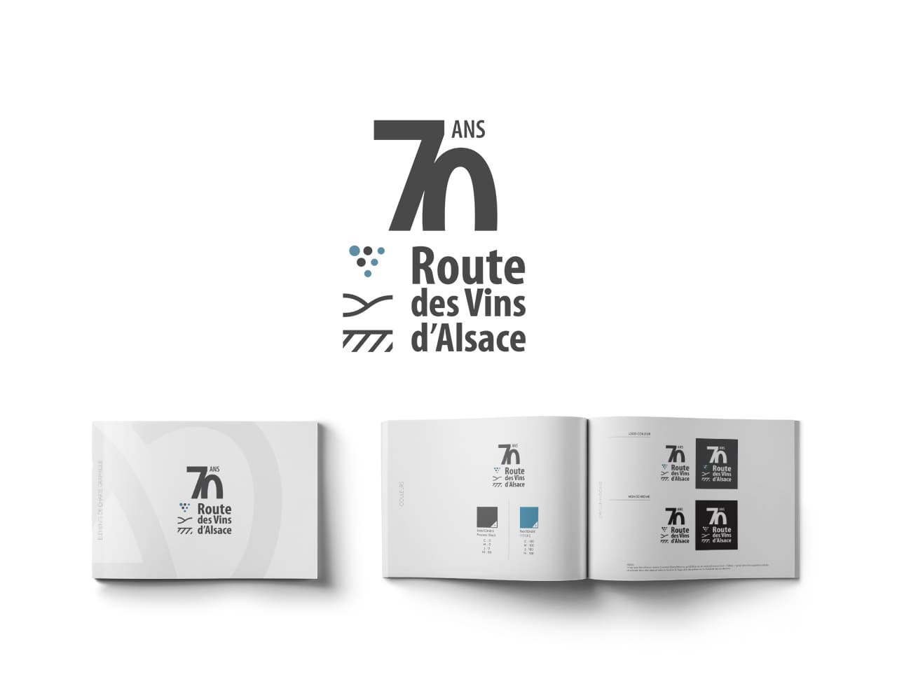 Colmar Route des Vins